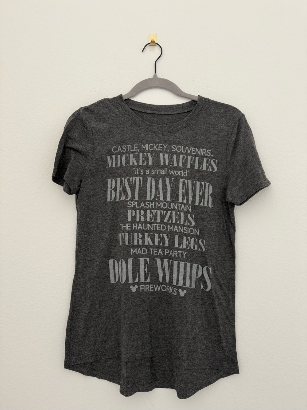 Disney Graphic Tee - Gray "Best Day Ever"